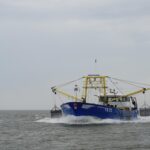 In dit jaar wordt YE 72 vervangen door de BRU 19 die wordt overgenomen van Firma de Keizer. Het schip wordt omgenummerd naar YE 72 en krijgt de naam Sursum Corda, wat betekent: het hart gericht naar boven. Een schip waar we de toekomst mee in kunnen!
