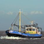 Het mosselschip van de Firma Bol, de YE 86, wordt overgenomen. Deze wordt omgenummerd naar YE 72 en krijgt de naam 'Jacomina Cornelia'. Johan gaat samen met zoon Jos hierop varen