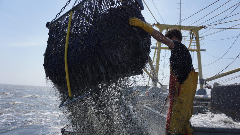 Oosterschelde weer helemaal open