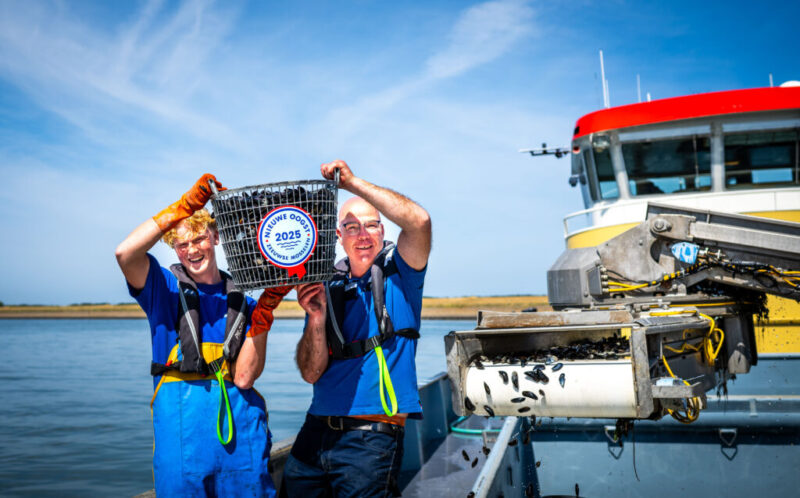 Nog niet eerder zo’n goede kwaliteit in juni