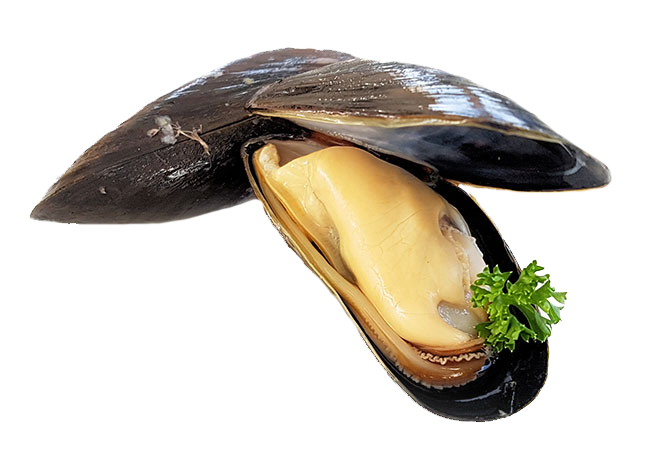Zilte lekkernij uit de Oosterschelde